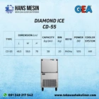 DIAMOND ICE CD 55 GEA 2