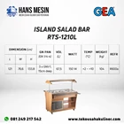ISLAND SALAD BAR RTS-1210L GEA 2