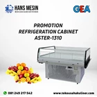 PROMOTION REFRIGERATION CABINET ASTER-1310 GEA 1