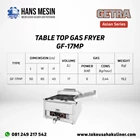 TABLE TOP GAS FRYER GF-17MP GETRA 2