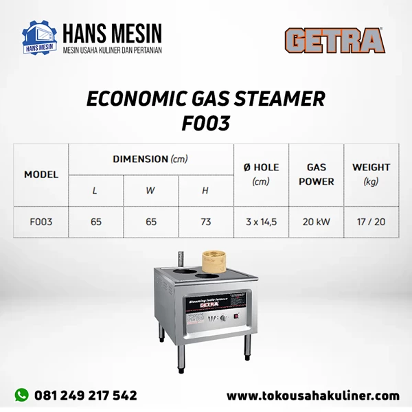ECONOMIC GAS STEAMER F003 GETRA