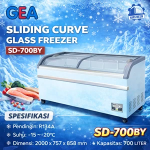 GEA SLIDING CURVE GLASS FREEZER SD-700BY / Freezer Box GEA 700 Liter