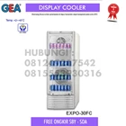 Showcase cooler Display Cooler 222 liter GEA EXPO 30FC 1