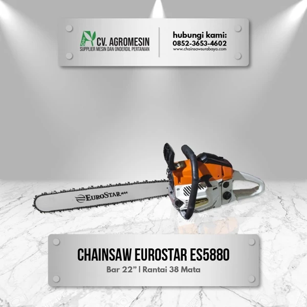 Chainsaw / Gergaji Mesin Potong Kayu EUROSTAR 22 Inch